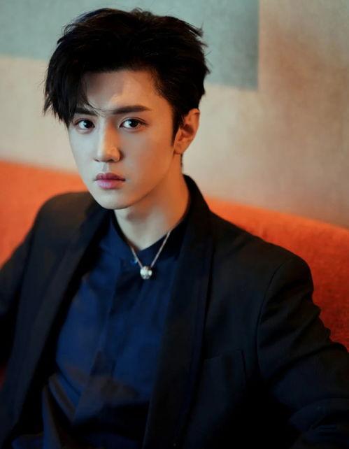 陈哲远爆料沈月了吗视频,视频曝光背后真相  第3张