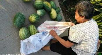 武安吃瓜爆料最新,揭秘娱乐圈最新热点事件 第2张 武安吃瓜爆料最新,揭秘娱乐圈最新热点事件 第2张