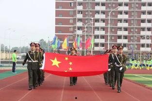 关于北城中学的爆料新闻,揭秘校园内幕与师生困境  第2张