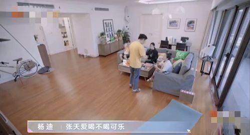 大连学校爆料事件视频,真相与争议交织的校园风云  第3张