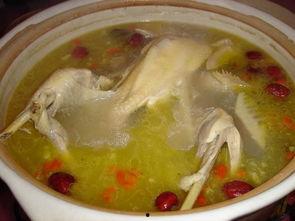 爆料母鸡汤视频大全,温馨感人，治愈心灵的故事集锦